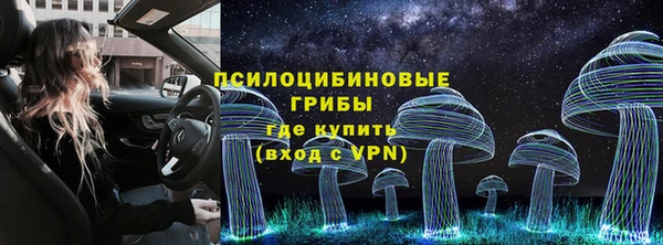 2c-b Кодинск