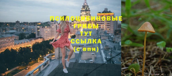 2c-b Кодинск