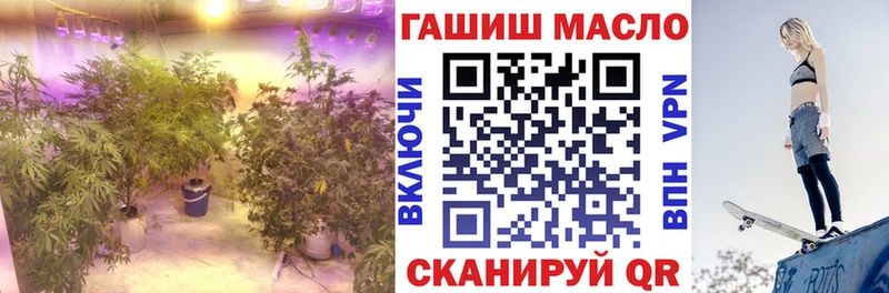 Купить где  Карабаново  ТГК вейп 